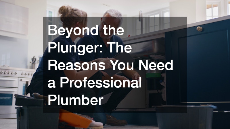 Beyond the Plunger  The You Definitely Need a Professional Plumber
